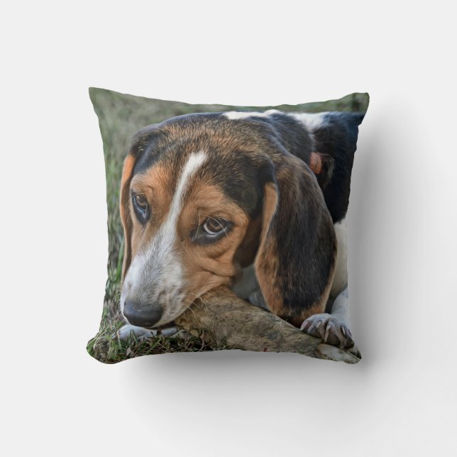Coussin Beagle adorable mâchant un os (Recto)