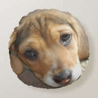 Coussin beagle Puppy
