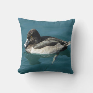 Coussin Beau Canard À Cou Ring Reposé Sur L'Eau Photo