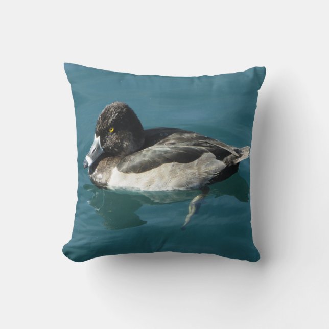 Coussin Beau Canard À Cou Ring Reposé Sur L'Eau Photo (Recto)