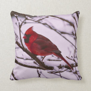 Coussin Beau cardinal rouge dans un arbre à neige
