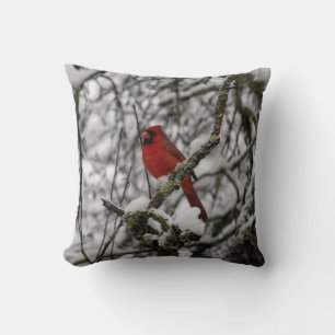Coussin Beau Cardinal Rouge dans un arbre à neige