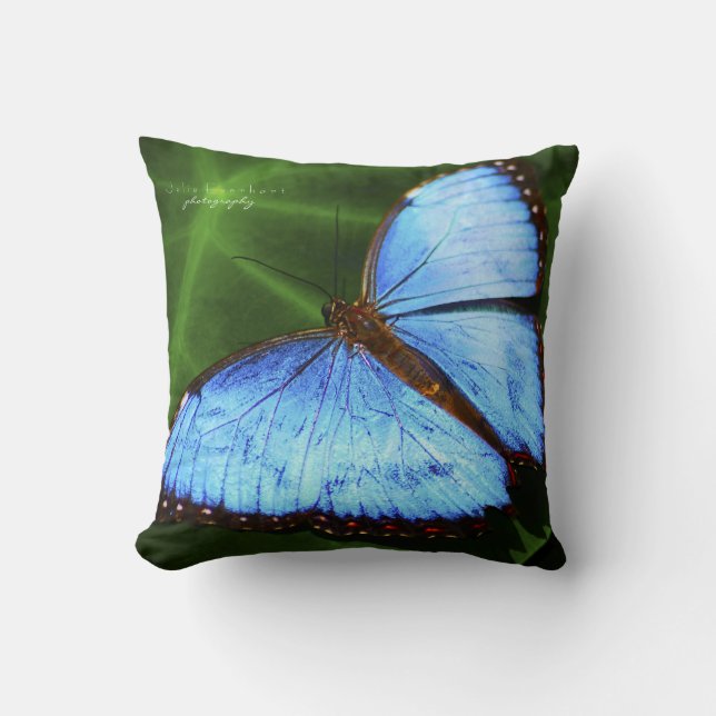 Coussin Beau carreau bleu de papillon (Recto)