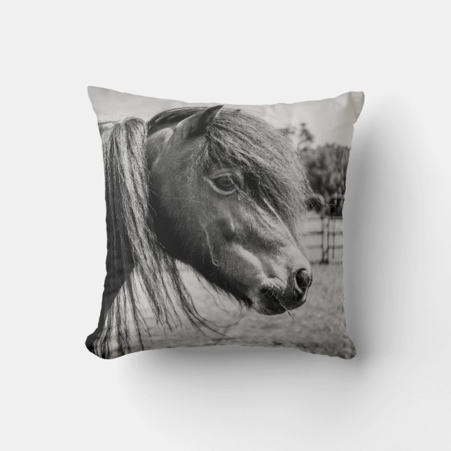 COUSSIN BEAU CHEVAL (Recto)