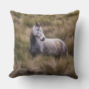 Coussin Beau Cheval gris coloré