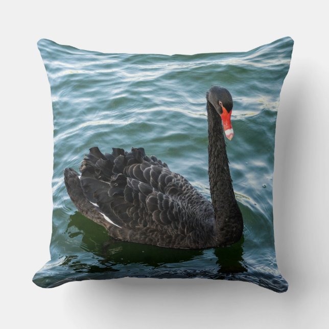 Coussin Beau cygne noir (Recto)