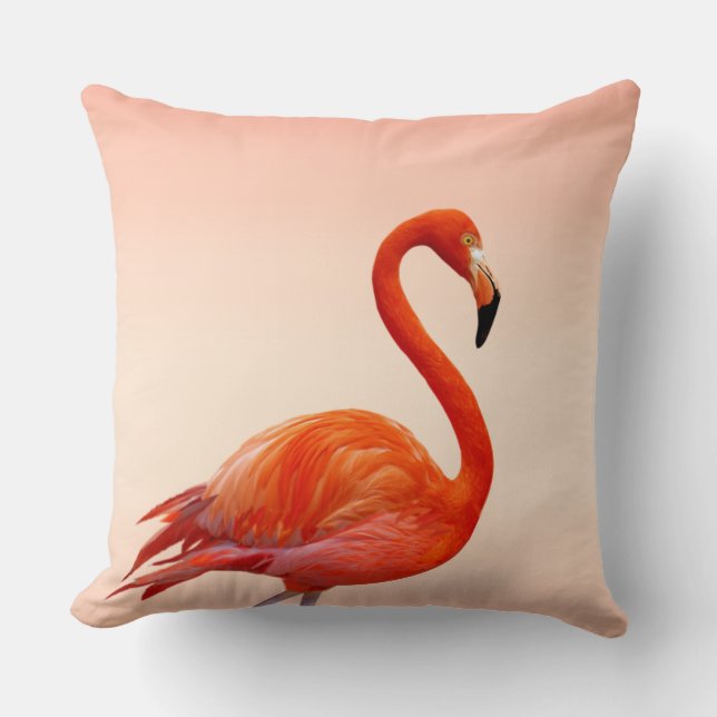 Coussin Beau Flamant Rose sur Corail Clair (Recto)