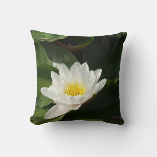 Coussin Beau Lotus Photography Cushion (Recto)
