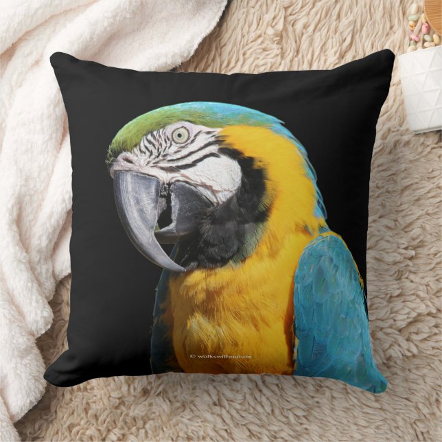Coussin Beau oiseau de perroquet bleu et or Macaw (Couverture)