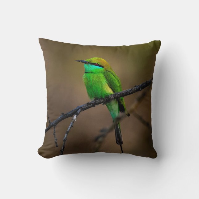 Coussin Beau Oiseau vert brillant sur une mince brindille (Recto)
