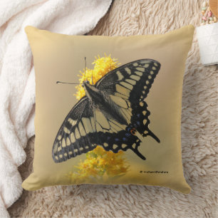 Coussin Beau papillon anis Swallowtail au soleil