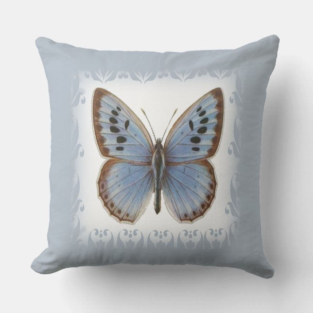 Coussin Beau Papillon Bleu (Recto)