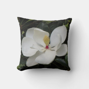 Coussin Beau Paysage Extérieur Couloir