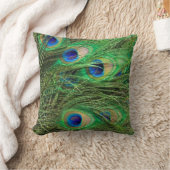 Coussin Beau Peacock (Couverture)