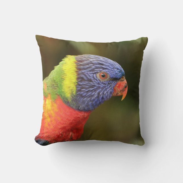 Coussin Beau perroquet coloré (Recto)