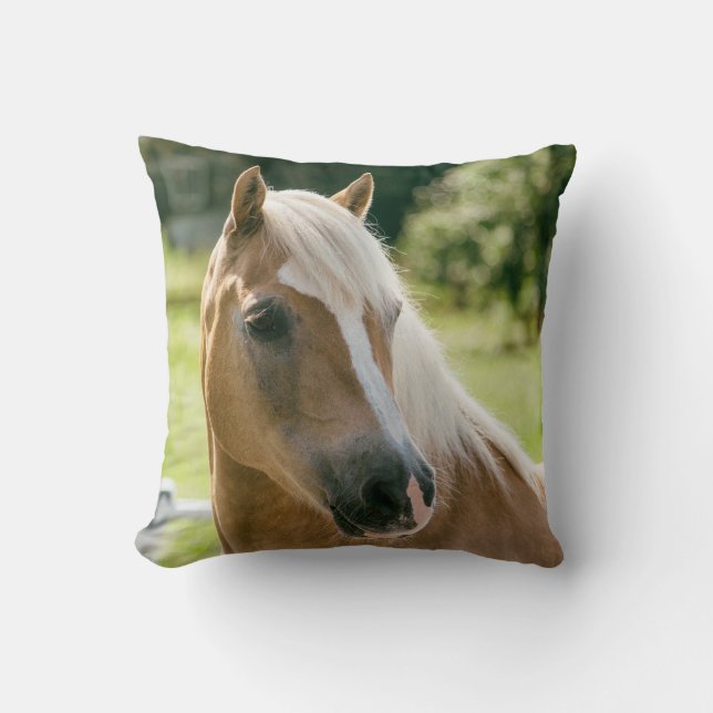 Coussin Beau portrait de cheval de haflinger (Recto)