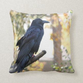 Coussin Beau Raven été perché sur le carreau de branche