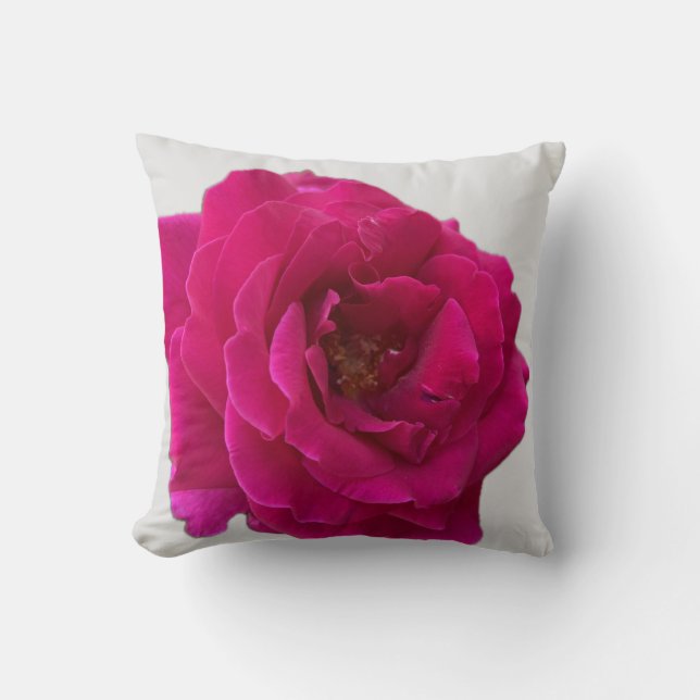 Coussin Beau Rose rose chaud vibrant en pleine floraison (Recto)