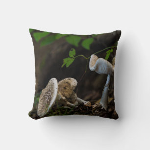 Coussin Beauté douteuse