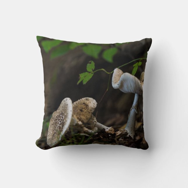 Coussin Beauté douteuse (Recto)