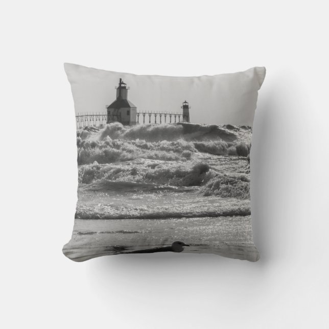 Coussin Beauté et force en nuances de gris (Recto)