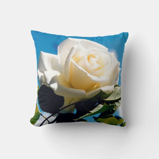 Coussin Beauté Rose Blanche (Recto)