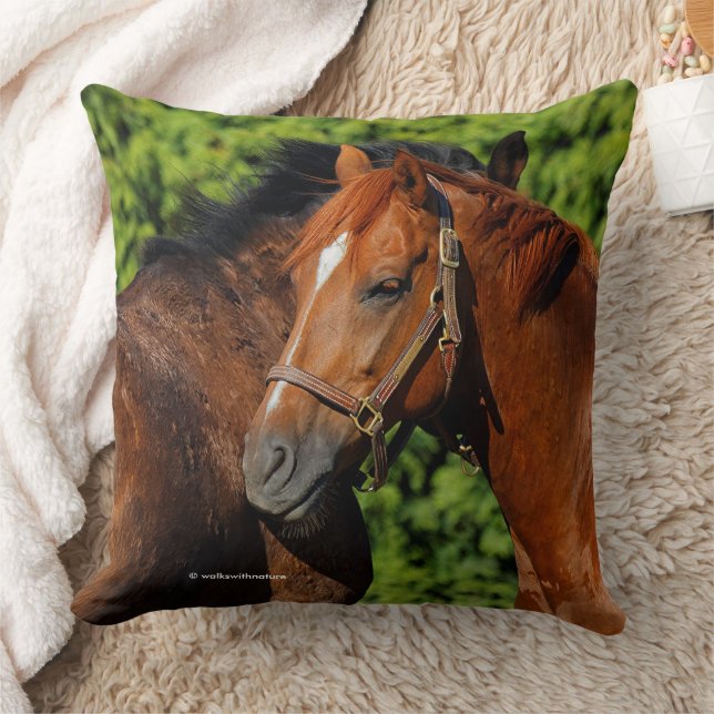 Coussin Beaux Chevaux de Châtaignier au soleil d'été (Couverture)