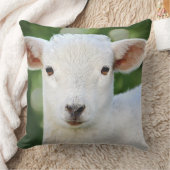 Coussin Bébé adorable mouton (Couverture)