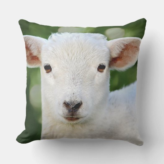 Coussin Bébé adorable mouton (Recto)