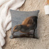 Coussin Bébé assoiffé (Couverture)