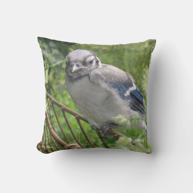 Coussin Bébé bleu Jay (Recto)