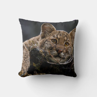 Coussin Bébé Bobcat allongé dans l'arbre