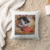 Coussin Bébé chat (Couverture)