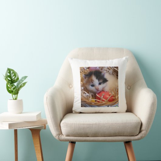 Coussin Bébé chat (Chaise)