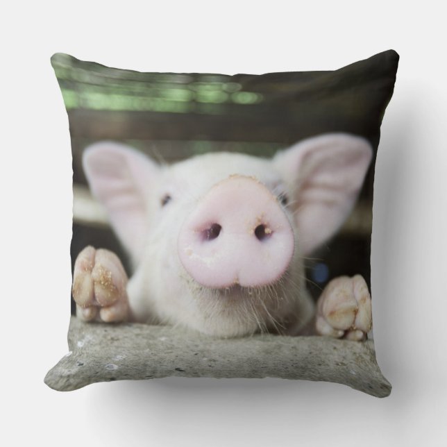 Coussin Bébé Cochon en Stylo, Piglet (Recto)
