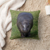 Coussin Bébé Hippopotame (Couverture)