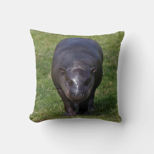 Coussin Bébé Hippopotame (Recto)