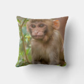 Coussin Bébé Macaque Rhésus, Temple du Singe, Jaipur (Verso)