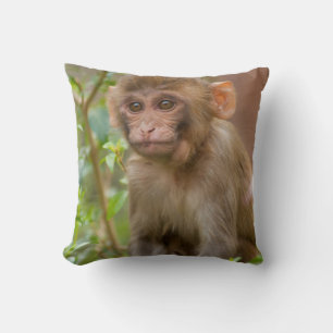 Coussin Bébé Macaque Rhésus, Temple du Singe, Jaipur