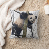 Coussin Bébé Panda dans l'arbre (Couverture)