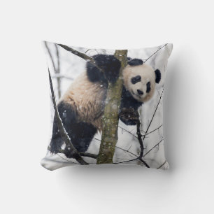 Coussin Bébé Panda dans l'arbre