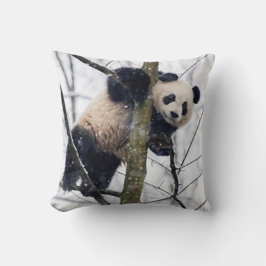 Coussin Bébé Panda dans l'arbre (Recto)