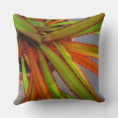 Coussin Bébé Pandanus (Verso)