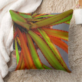 Coussin Bébé Pandanus (Couverture)