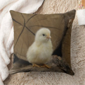 Coussin Bébé sur les registres (Couverture)