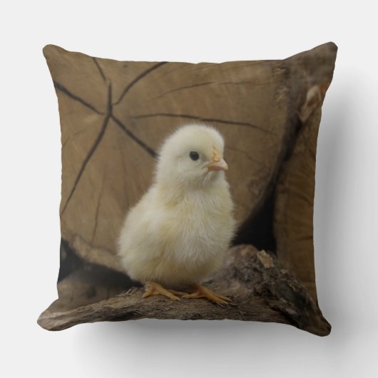 Coussin Bébé sur les registres (Recto)