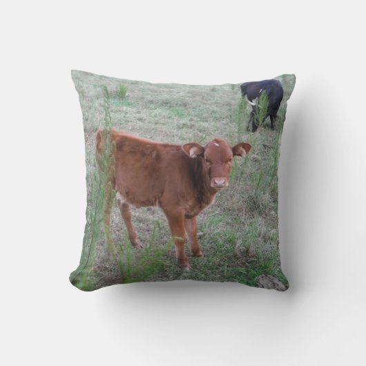 Coussin Bébé vache Brown. (Recto)