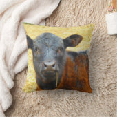 Coussin Bébé Vache Marron et Noire (Couverture)