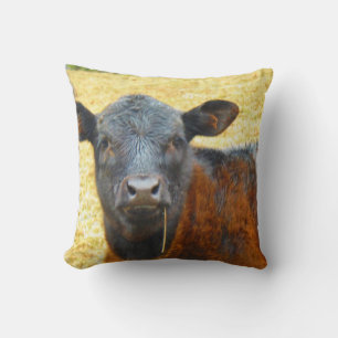 Coussin Bébé Vache Marron et Noire