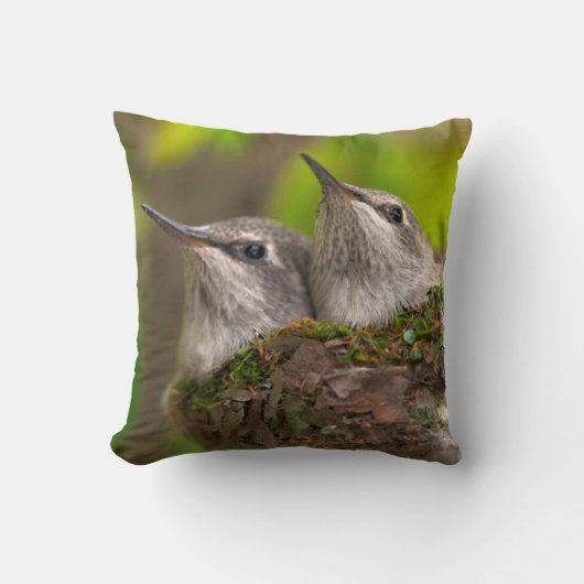 Coussin Bébés colibris (Recto)